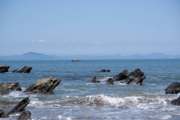 istock The beginning of summer 1225994173