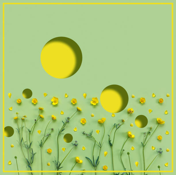 istock Abstract crazy background with beautiful yellow buttercup flowers. 1225996967