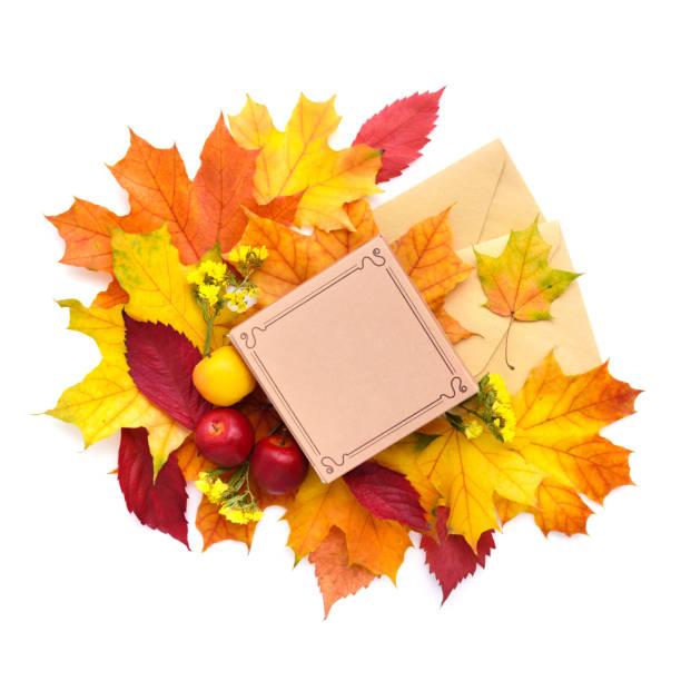 istock Autumn leaves, gift box and envelopes on a white background. Top view. 1225997360