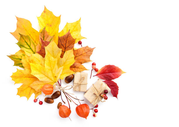 istock Autumn composition with maple leaves on a white background. Top view. 1225997380