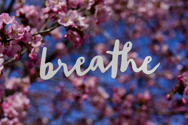 Word BREATHE with blooming cherry tree on background. Pink flowers. Lettering