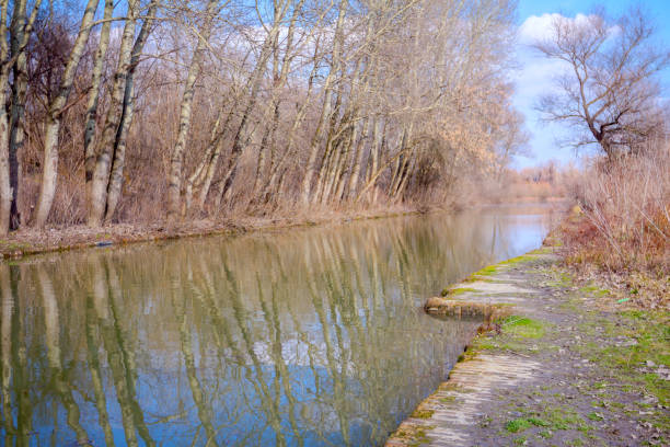 istock Water flows through the canal in the forest 1226004501