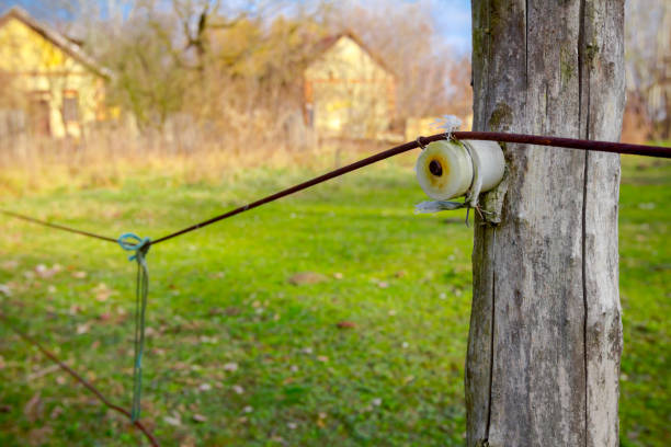 An electric wire fence is placed around the pasture for the safety of livestock.