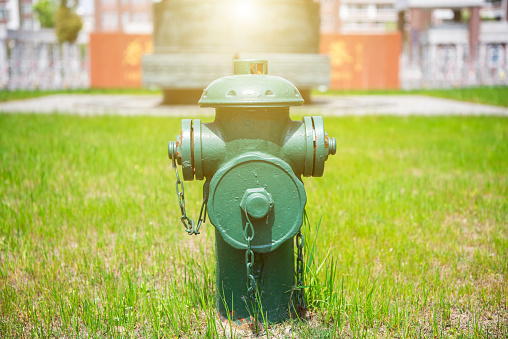 Fire hydrant on green sunny lawn