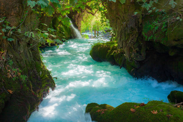 parque da cachoeira duden em antalya - waterfall antalya turkey forest - fotografias e filmes do acervo