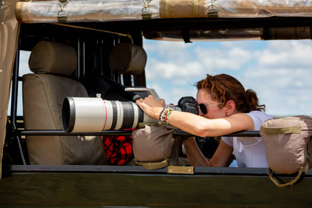 Professional female photographer on safari Female professional photographer on safari. Woman rests camera on a bean bag and shoots wildlife from a safari vehicle.  in the Masai Mara, Kenya. telephoto lens stock pictures, royalty-free photos & images