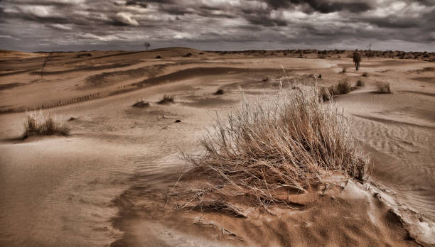 deserto di karakum prima della pioggia. il paesaggio del deserto dell'asia centrale. filtro instagram applicato. - deserto del karakum immagine foto e immagini stock