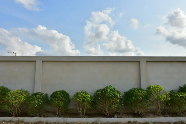 istock Worms eye view of sun shining light on the wall 1226009146