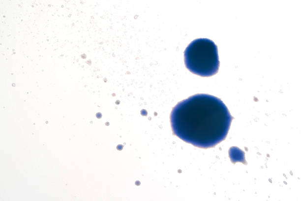 istock watercolor background paint stain blue splashes 1226018373
