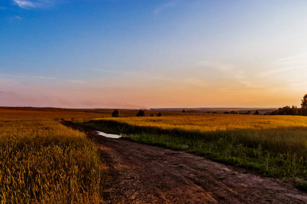 istock dirt road in a field on a summer evening at sunset 1226021250