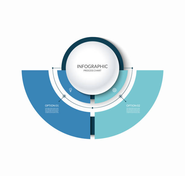 infografika półokrągła podzielona na 2 części. diagram krok po kroku z dwiema opcjami. - flow chart strategy analyzing chart stock illustrations