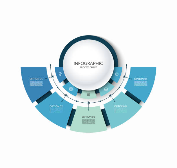 инфографика полукруглая диаграмма разделена на 5 частей. шаг за шагом диаграмма с пятью вариантами. - полукруг stock illustrations