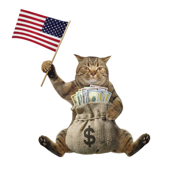istock Cat with money and us flag 1226023528