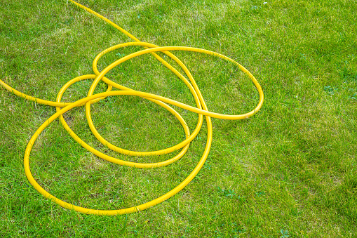 Yellow garden hose on grass