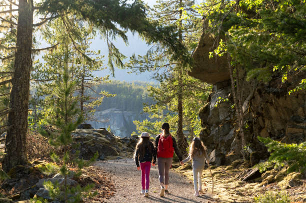 istock Mother and daughters hiking in the forest 1226028769