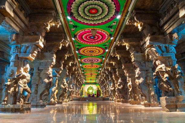 thousand pillar hall, meenakshi temple - madurai imagens e fotografias de stock