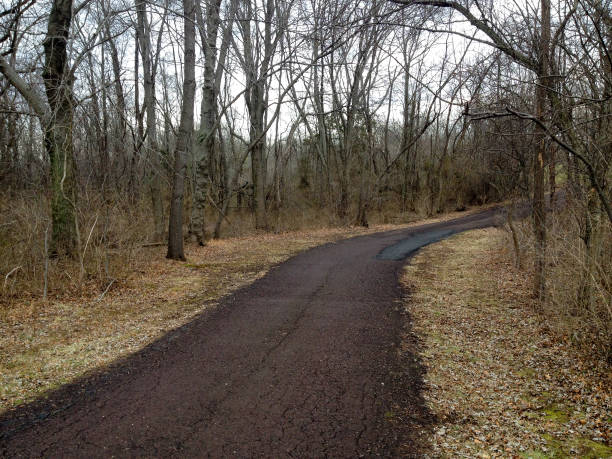 istock Country walk road path into woods 1226029383