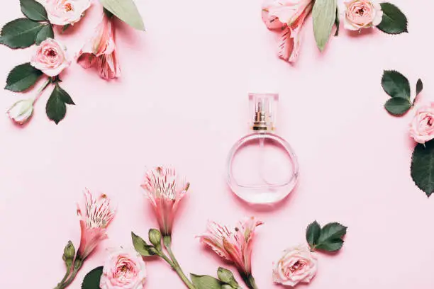 Women's perfume bottle and roses flowers on pink background. Creative Layout, copy space.