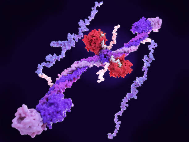 istock Thrombin converts fibrinogen into fibrin causing it to polymerize an build blood clots with platelets 1226040350