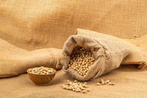 Closeup of soy beans in a sack and in a wooden bowl on sackcloth.