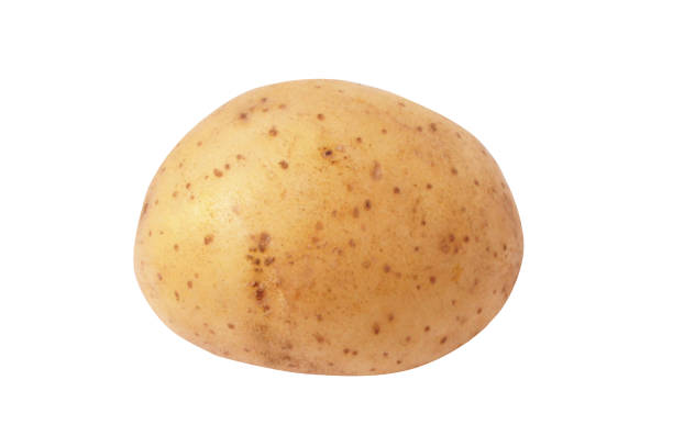istock Fresh potato isolated on a white background. Single. Side view. Without a shadow. 1226041400