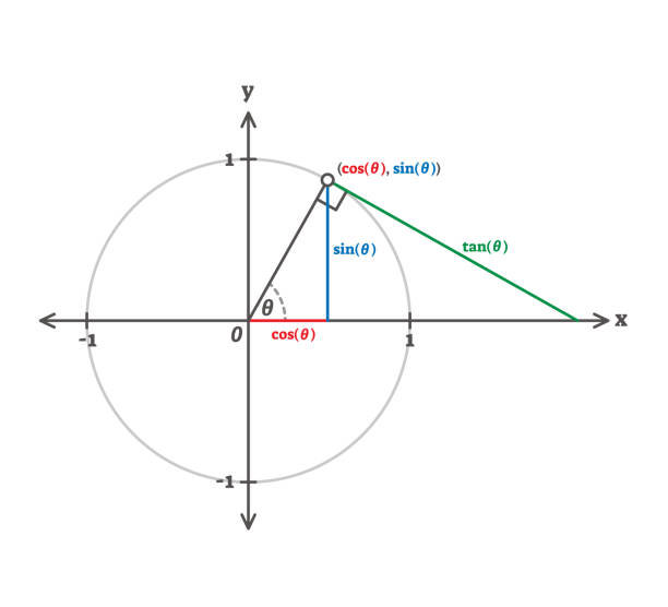 Trigonometry cosinus, sinus and tangents example diagram Trigonometry cosinus, sinus and tangents example diagram. Triangle side length and angles proportion related to the circle. Labeled school study guide drawing with simple, colored lines. trigonometry stock illustrations