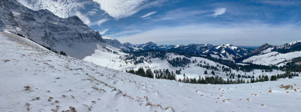 istock Awesome winter landscape with spruces covered in snow 1226044408