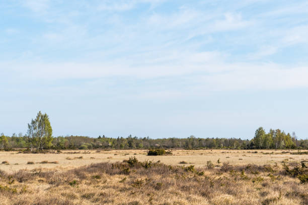 istock Great plain barren grassland in spring season 1226046369