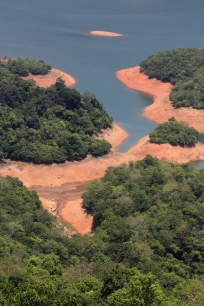 il fiume scorre attraverso la foresta di shenduruney. una vista da rosemala nei ghat occidentali del kerala, india - kollam foto e immagini stock