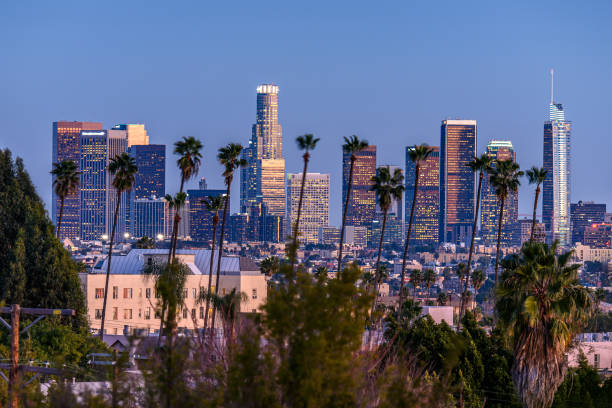 istock Downtown Los Angeles, palm trees in foreground 1226051730