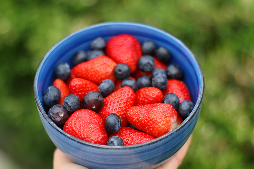 Unrecognizable person holding a bowl of blueberries and strawberries in the garden. Selective focus.