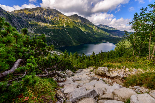 istock Morskie Oko in High Tatras 1226054957