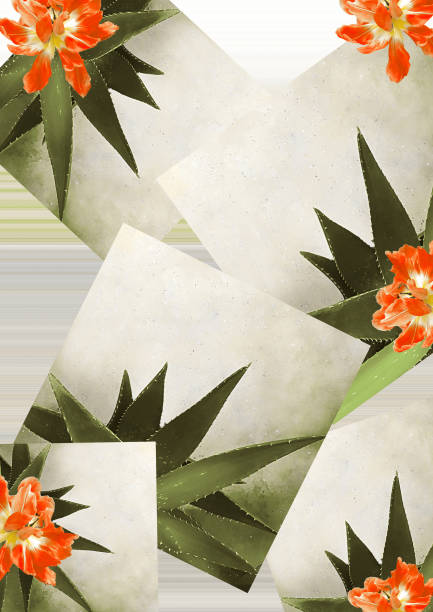 collage d'arte contemporanea. foglie di aloe vera con tulipani luminosi su sfondo astratto. concetto vegetale, carta da parati. - healthy lifestyle homeopathic medicine aloe plant foto e immagini stock