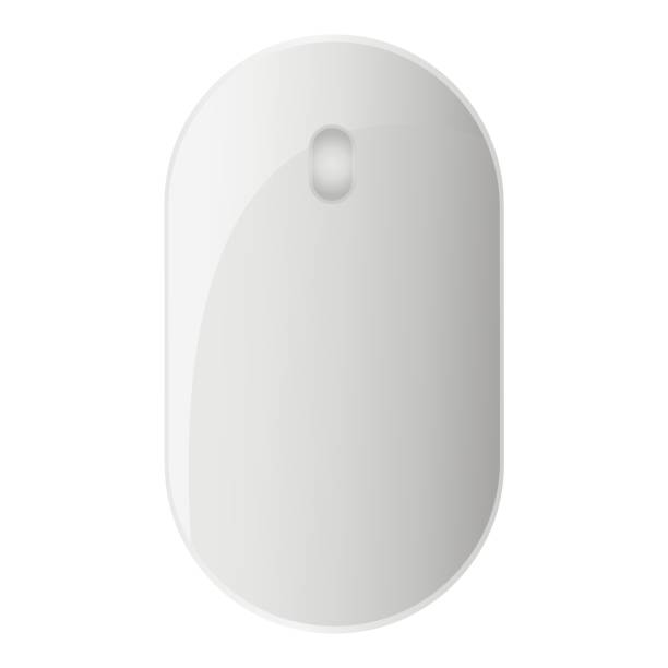 Mouse Top View 170+ Mouse Top View Isolated Illustrations, Royalty-Free Vector ...