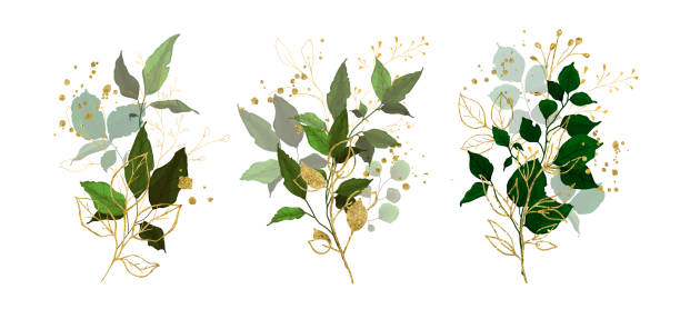 złoto liście zielone tropikalne rośliny oddział bukiet ślubny ze złotymi rozpryskami - bouquet rose wedding flower stock illustrations
