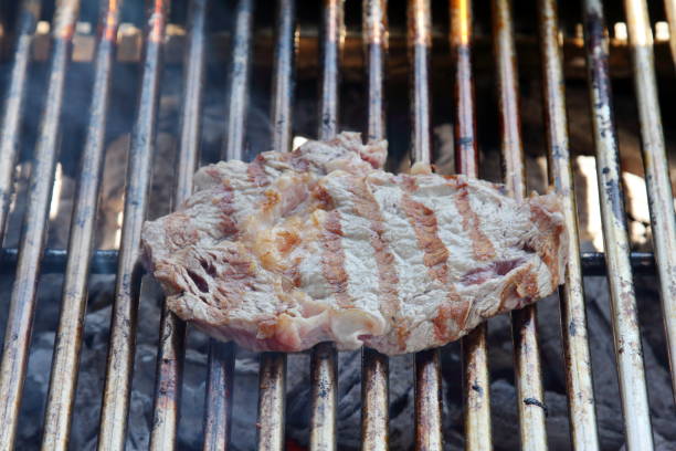 istock delicious grill, ready for picnic 1226058135