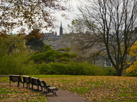 Solitary corner overlooking Edinburgh in autumn