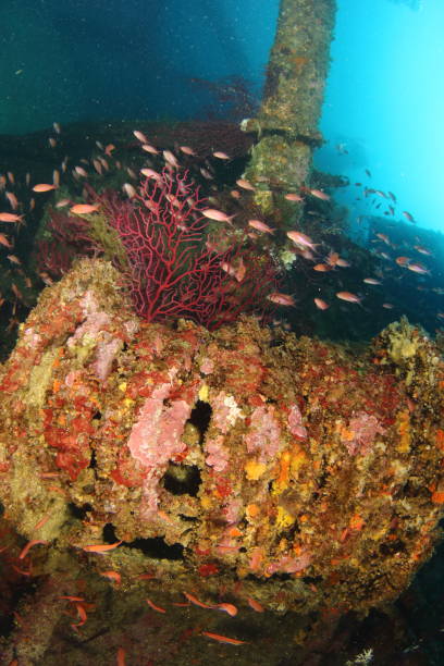 Underwater wreck stock photo