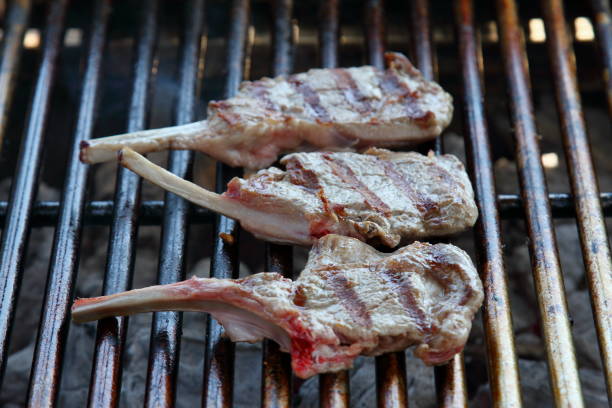 istock delicious grill, ready for picnic 1226059495