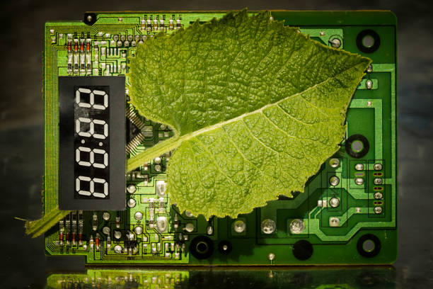 istock Circuit board and leaf with electronic timer. Concept of eco friendly technology. Green energy. Combination of technology and nature. 1226059583