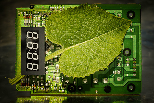 Circuit board and leaf with electronic timer. Concept of eco friendly technology. Green energy. Combination of technology and nature.