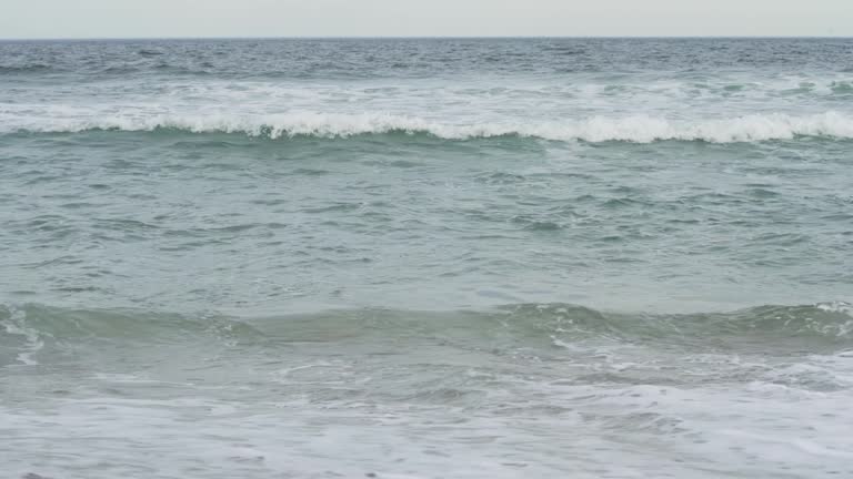 4K. Sandy coast. A big, foaming wave beating against the shore.