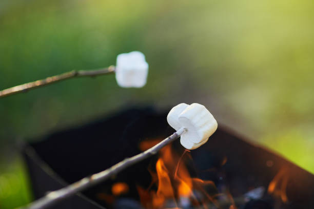 istock Marshmallow on skewers roasted on bonfire 1226060566
