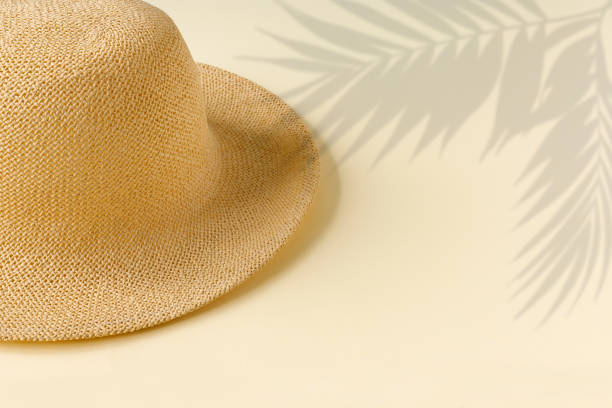 istock Beautiful straw hat with palm tree on the ocean coast . Nature summer background. 1226065554