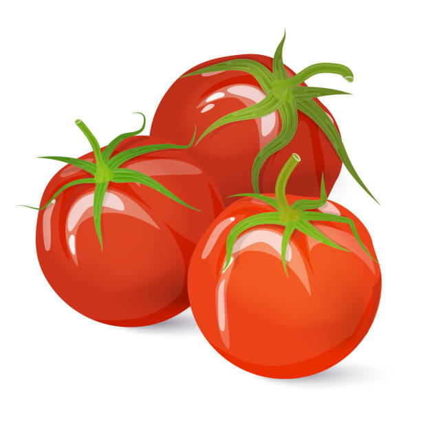 150+ Three Tomatoes Stock Illustrations, Royalty-Free Vector
