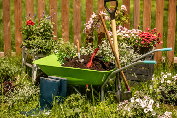 istock Wheelbarrow with Gardening tools in the garden 1226070037