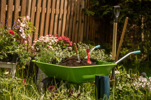 istock Wheelbarrow with Gardening tools in the garden 1226070604