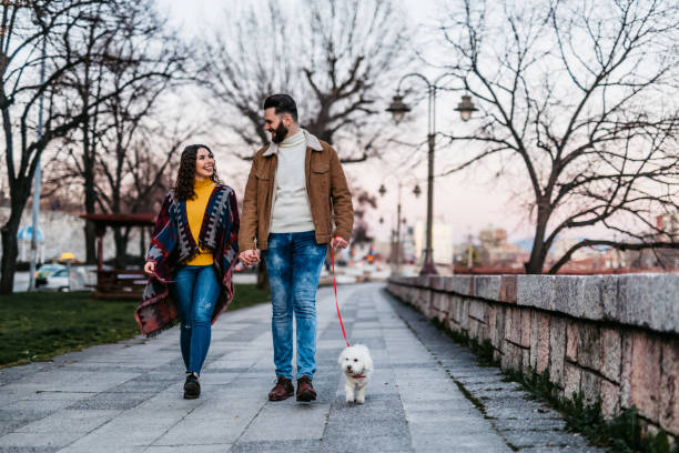 istock Couple with dog enjoying a walk in the park 1226070655