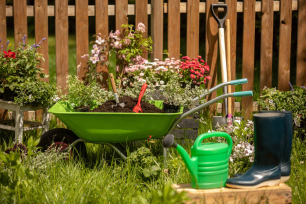 istock Wheelbarrow with Gardening tools in the garden 1226070662