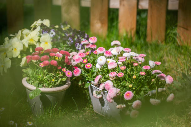 istock Wheelbarrow with Gardening tools in the garden 1226070721